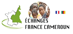 Association Échanges France Cameroun